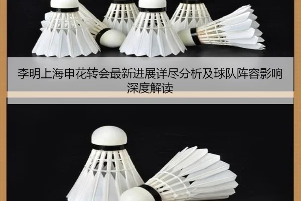 李明上海申花转会最新进展详尽分析及球队阵容影响深度解读