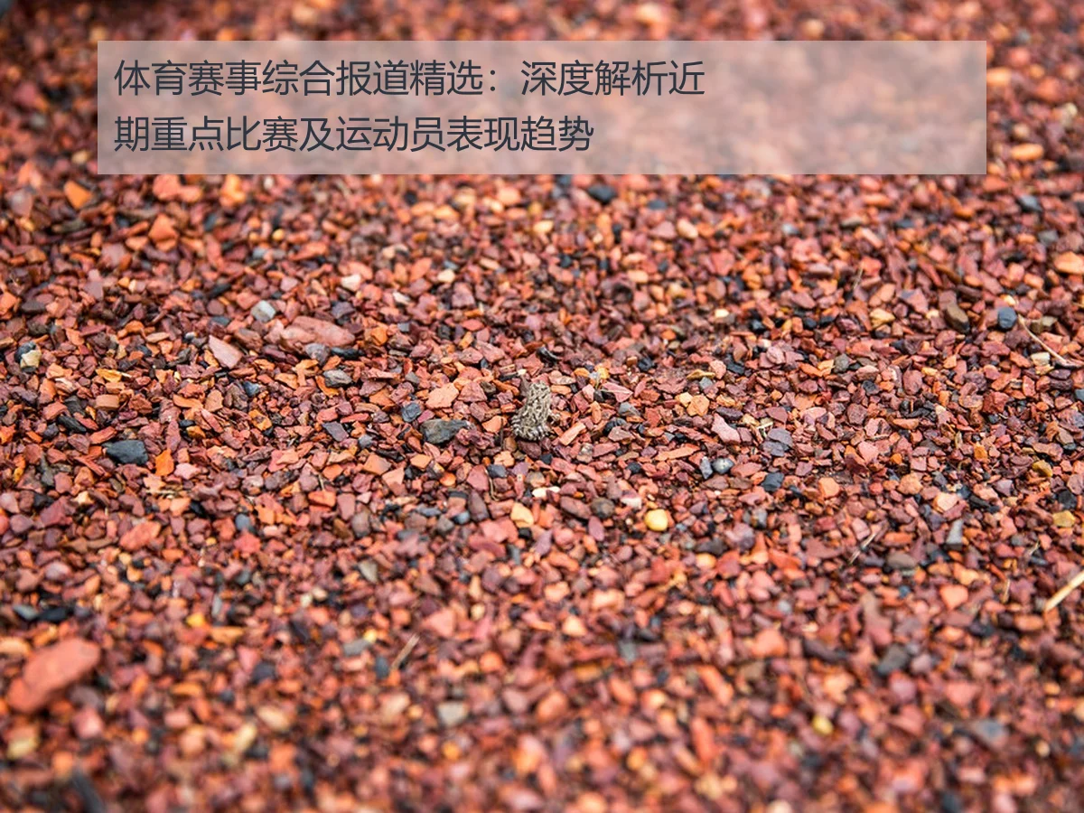 体育赛事综合报道精选:深度解析近期重点比赛及运动员表现趋势