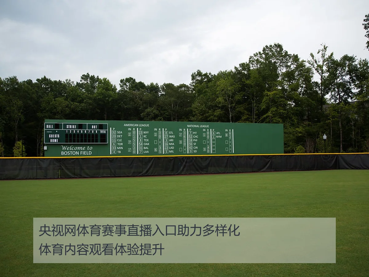 央视网体育赛事直播入口助力多样化体育内容观看体验提升